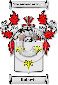 Kubovic Family Crest Download (JPG) Legacy Series - 600 DPI