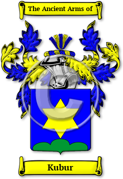 Kubur Family Crest Download (jpg) Legacy Series - 150 DPI