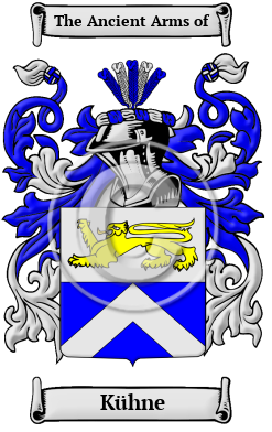 Kühne Family Crest/Coat of Arms