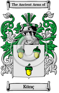 Künç Family Crest/Coat of Arms