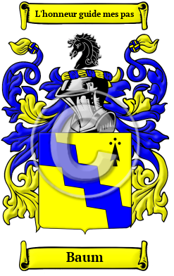 Baum Family Crest Download (JPG) Heritage Series - 600 DPI