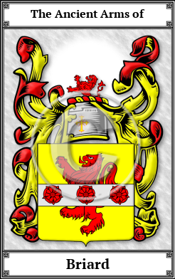 Briard Family Crest Download (JPG)  Book Plated - 150 DPI