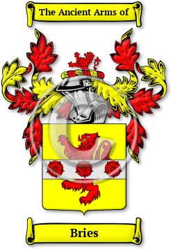 Bries Family Crest Download (JPG) Legacy Series - 600 DPI