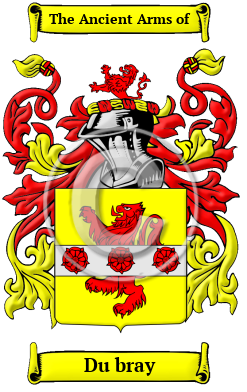 Du bray Family Crest/Coat of Arms