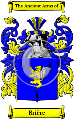 Brière Family Crest Download (JPG) Heritage Series - 300 DPI