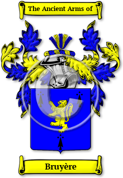 Bruyère Family Crest Download (jpg) Legacy Series - 150 DPI