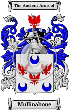 Mullinahone Family Crest/Coat of Arms