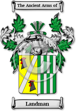Landman Family Crest Download (jpg) Legacy Series - 150 DPI