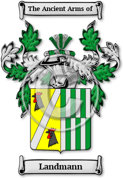 Landmann Family Crest Download (JPG) Legacy Series - 600 DPI