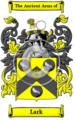 Lark Family Crest Download (JPG) Heritage Series - 600 DPI