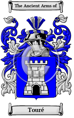 Touré Family Crest Download (JPG) Heritage Series - 600 DPI