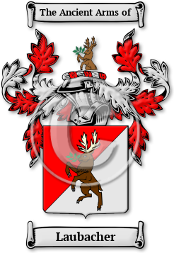 Laubacher Family Crest Download (JPG) Legacy Series - 600 DPI