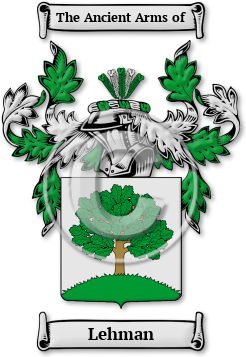 Lehman Family Crest Download (JPG) Legacy Series - 300 DPI
