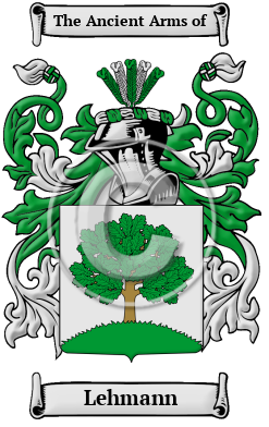 Lehmann Family Crest Download (JPG) Heritage Series - 300 DPI
