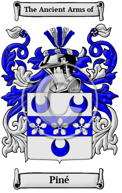Piné Family Crest/Coat of Arms