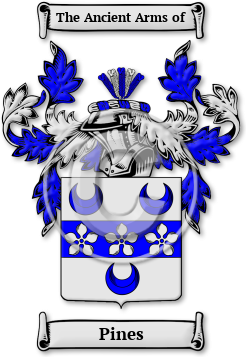 Pines Family Crest Download (jpg) Legacy Series - 150 DPI
