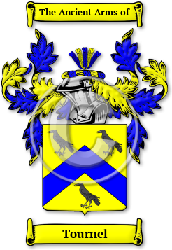 Tournel Family Crest Download (jpg) Legacy Series - 150 DPI
