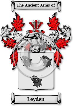 Leyden Family Crest Download (jpg) Legacy Series - 150 DPI