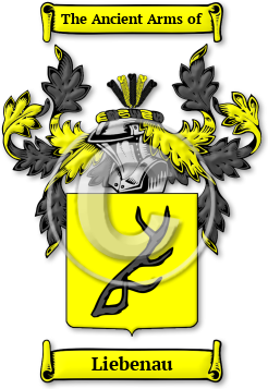 Liebenau Family Crest Download (JPG) Legacy Series - 600 DPI