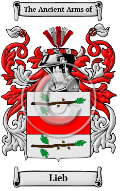 Lieb Family Crest Download (JPG) Heritage Series - 600 DPI