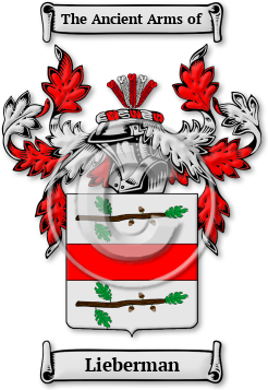 Lieberman Family Crest Download (jpg) Legacy Series - 150 DPI