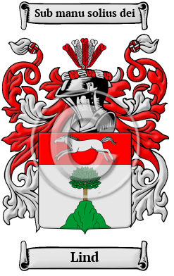Lind Family Crest/Coat of Arms