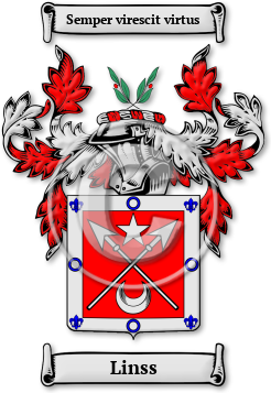 Linss Family Crest Download (jpg) Legacy Series - 150 DPI