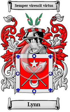 Lynn Family Crest Download (JPG) Heritage Series - 600 DPI