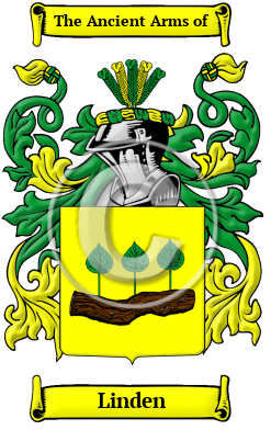 Linden Family Crest Download (JPG) Heritage Series - 600 DPI