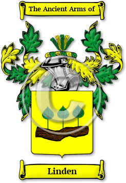 Linden Family Crest Download (jpg) Legacy Series - 150 DPI