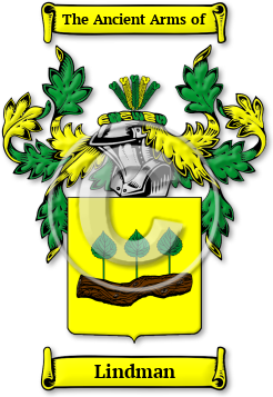 Lindman Family Crest Download (JPG) Legacy Series - 600 DPI