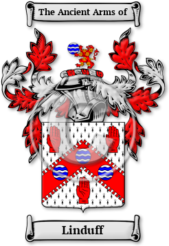Linduff Family Crest Download (jpg) Legacy Series - 150 DPI