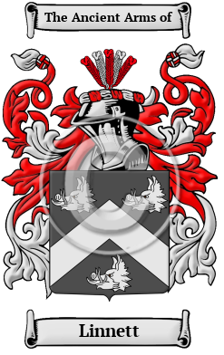 Linnett Family Crest Download (JPG) Heritage Series - 600 DPI