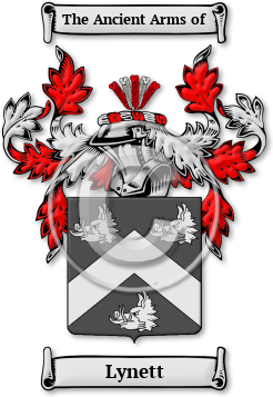 Lynett Family Crest Download (jpg) Legacy Series - 150 DPI