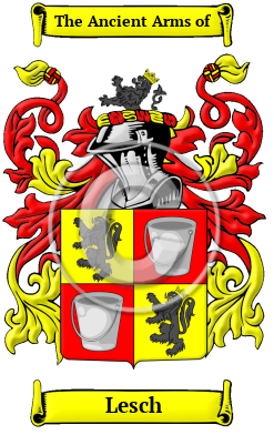Steigner Name Meaning, Family History, Family Crest & Coats of Arms