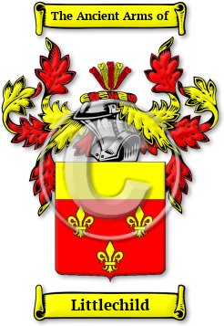 Littlechild Family Crest Download (jpg) Legacy Series - 150 DPI