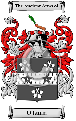O'Luan Name Meaning, Family History, Family Crest & Coats ...