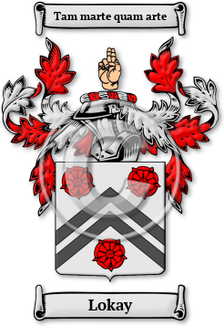 Lokay Family Crest Download (JPG) Legacy Series - 600 DPI