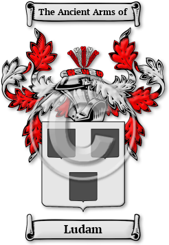 Ludam Family Crest Download (jpg) Legacy Series - 150 DPI