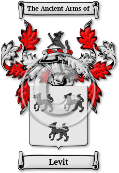 Levit Family Crest Download (jpg) Legacy Series - 150 DPI