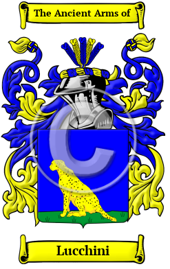 Lucchini Family Crest/Coat of Arms