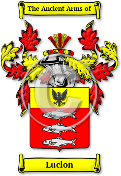 Lucion Family Crest Download (jpg) Legacy Series - 150 DPI