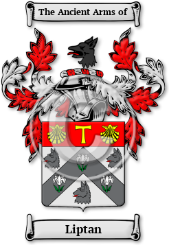 Liptan Family Crest Download (jpg) Legacy Series - 150 DPI
