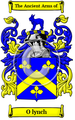 O lynch Family Crest/Coat of Arms