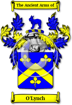 O'Lynch Family Crest Download (JPG) Legacy Series - 600 DPI