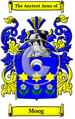 Moog Family Crest/Coat of Arms
