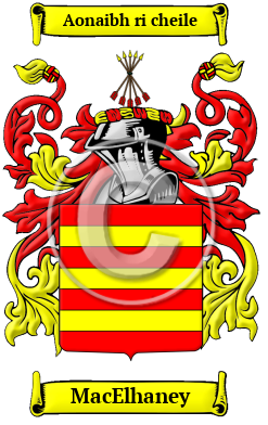 MacElhaney Family Crest/Coat of Arms