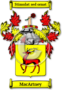 MacArtney Family Crest Download (jpg) Legacy Series - 150 DPI