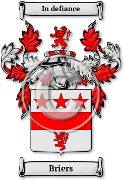 Briers Family Crest Download (JPG) Legacy Series - 600 DPI