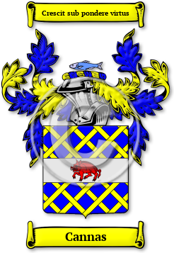 Cannas Family Crest Download (jpg) Legacy Series - 150 DPI